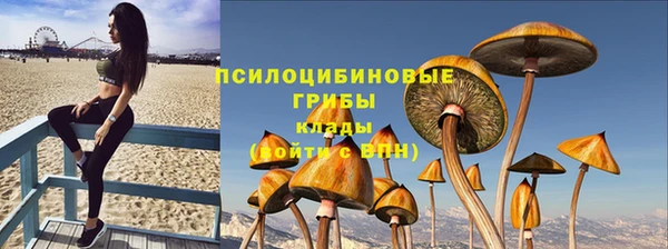 ешки Богородицк